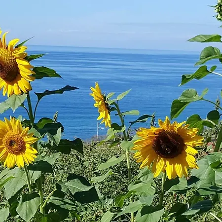 La Fattoria Di Nonna Elvira Σπίτι διακοπών Belvedere Marittimo