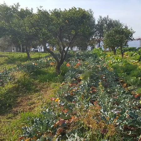 La Fattoria Di Nonna Elvira Σπίτι διακοπών